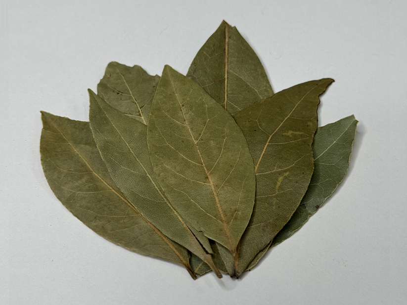 Bay Leaves